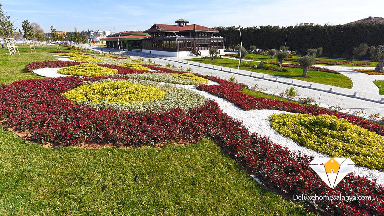 Outdoor in zeytinbornu