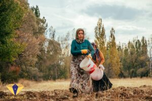 قیمت زمین کشاورزی در ترکیه