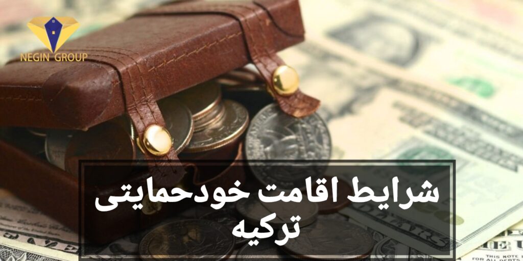 اخذ اقامت خود حمایتی ترکیه 2025 + مراحل و شرایط پذیرش 12