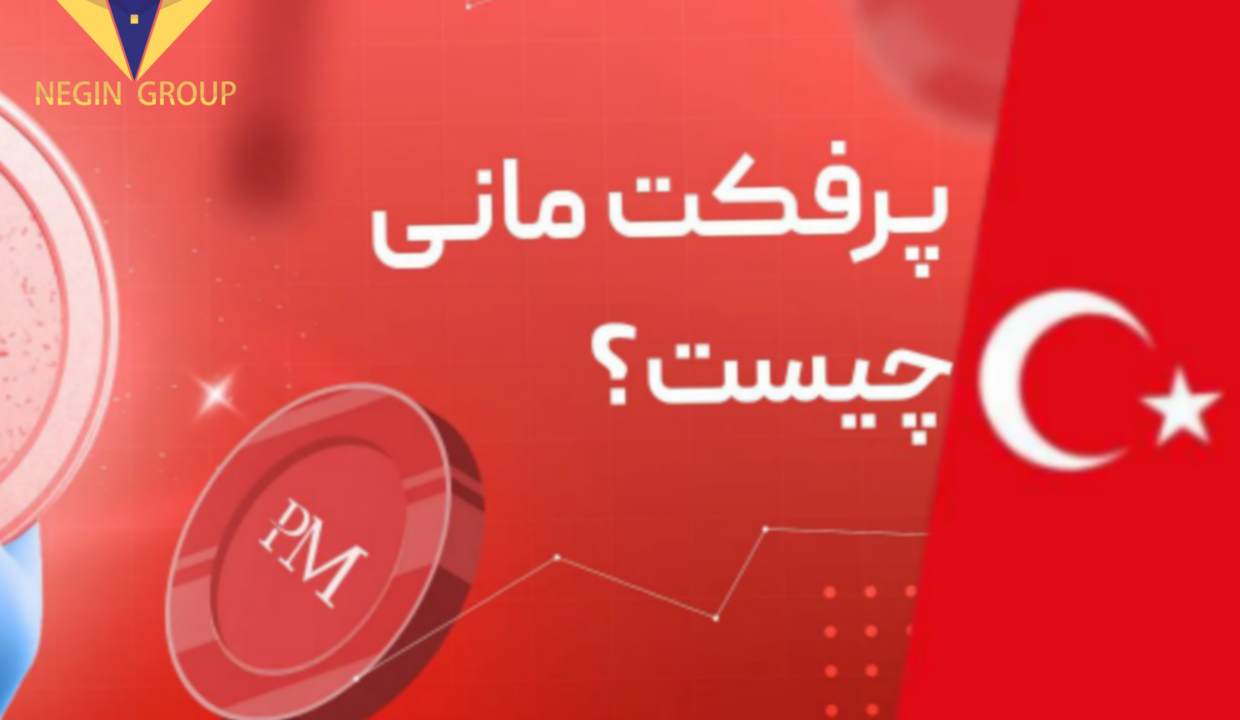 پرفکت مانی چیست