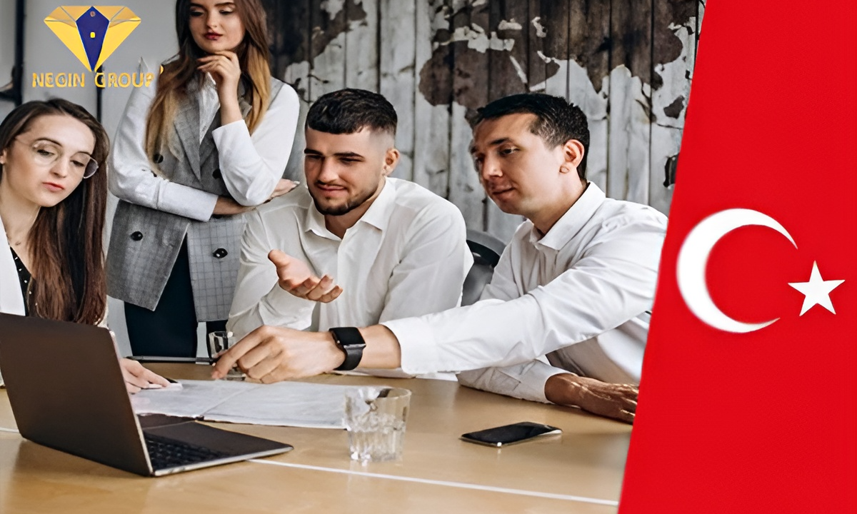 کار در آلانیا