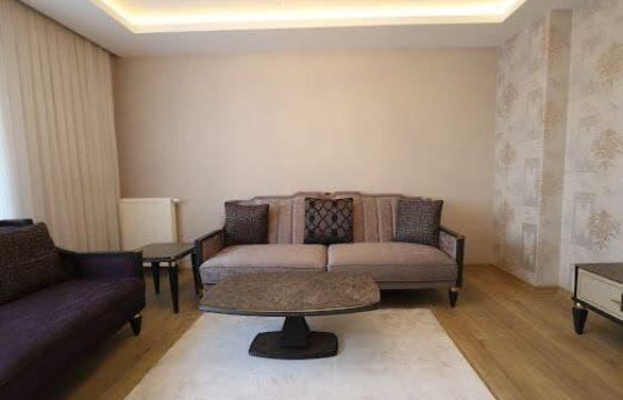 پروژه خانوادگی در استانبول